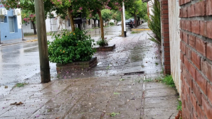 Fuertes vientos y lluvia traen complicaciones en Giles