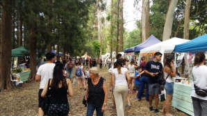 Este domingo se realizará la Feria Timonense