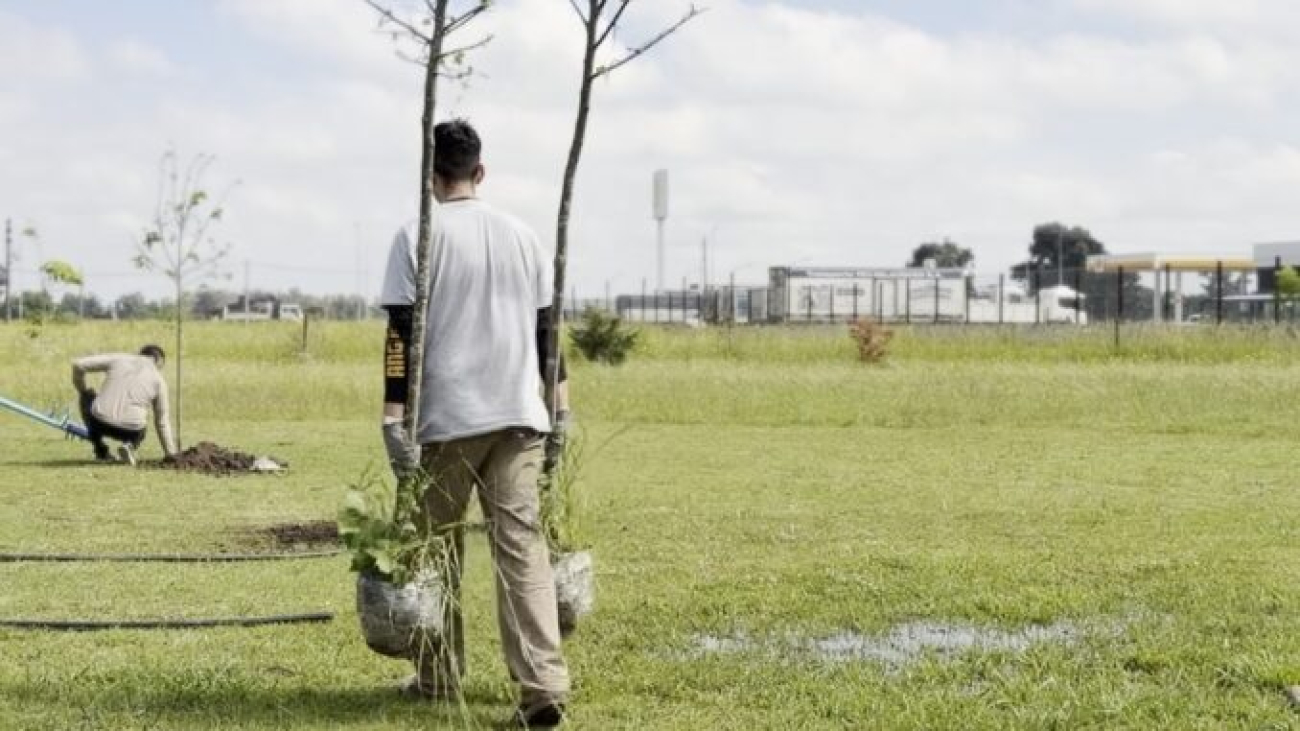 Luján: Se plantaron nueve especies de árboles en la Plaza del barrio Loreto
