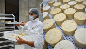 Inauguran en Cortínez una fábrica de quesos basados íntegramente en plantas