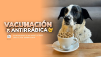 San Andrés de Giles: Campaña de VACUNACIÓN ANTIRRÁBICA GRATUITA 2025