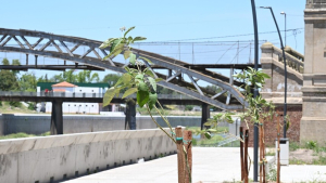 Plan integral de arbolado: Avanza la parquización sobre el Río Luján