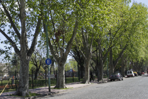 La Municipalidad convoca a “promotores ambientales juveniles”