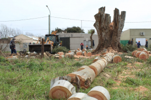 Localidades: trabajos de bacheo en Pueblo Nuevo y poda en Jáuregui
