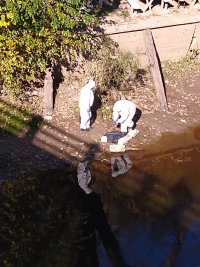 HORROR EN LUJÁN: MUTILACIÓN A LA VERA DEL RÍO