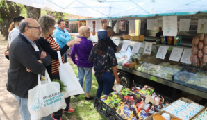 Suipacha: Mercado de productores familiares