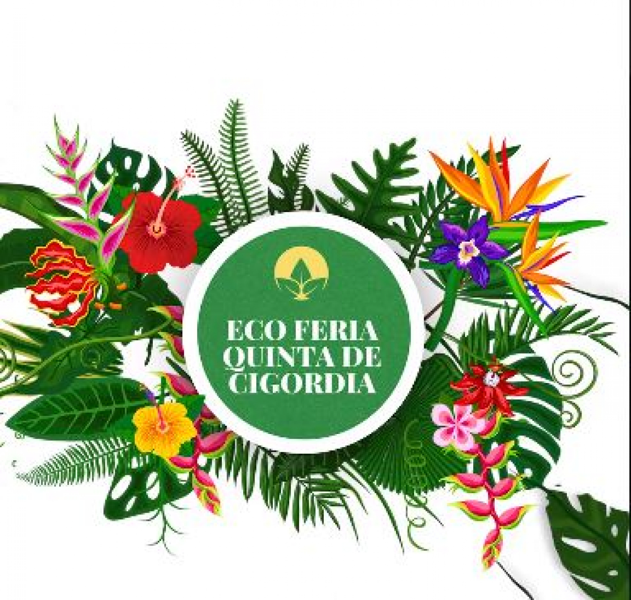 La Eco Feria Quinta de Cigordia se prepara para una domingo por la memoria activa