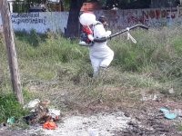 LUJÁN: TAREAS DE DESRATIZACION Y FUMIGACIÓN POR PARTE DEL MUNICIPIO