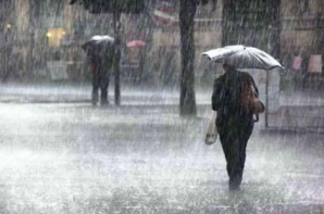 TEMPORAL EN LUJÁN: ANEGAMIENTOS Y CAÍDA DE ARBOLES