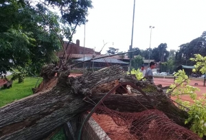 TEMPORAL Y DESTROZOS EN EL CLUB NÁUTICO EL TIMÓN