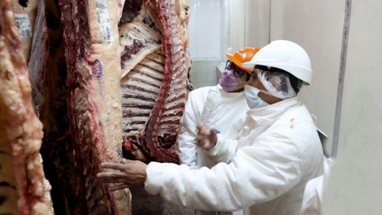 ¿Cómo prevenir la salmonella y shigella?