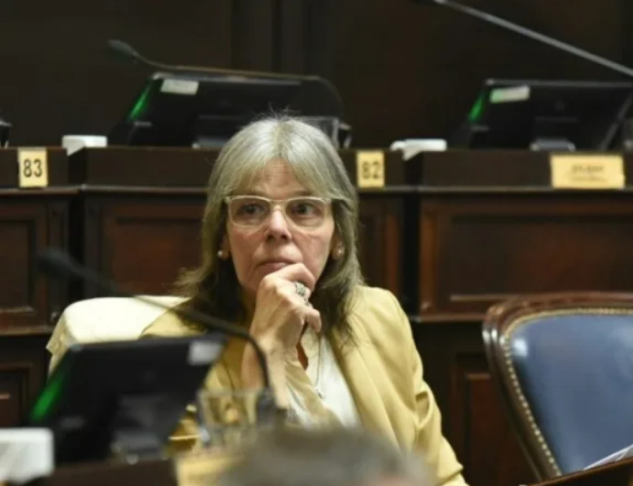 San Andrés de Giles: La diputada Maria Belen Malaisi compartio su agenda legislativa